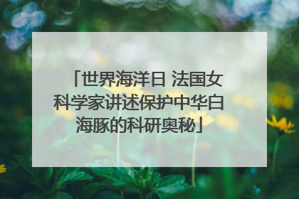 世界海洋日 法国女科学家讲述保护中华白海豚的科研奥秘