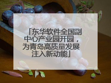 东华软件全国副中心产业园开园，为青岛高质量发展注入新动能