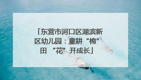 东营市河口区湖滨新区幼儿园：童耕“棉”田 “花”开成长