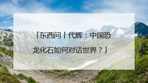 东西问丨代辉：中国恐龙化石如何对话世界？