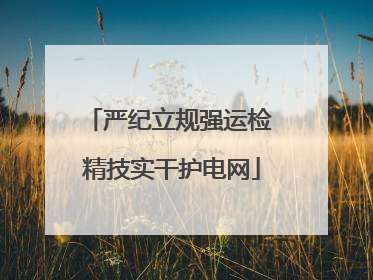 严纪立规强运检 精技实干护电网