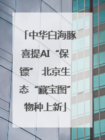 中华白海豚喜提AI“保镖” 北京生态“藏宝图”物种上新