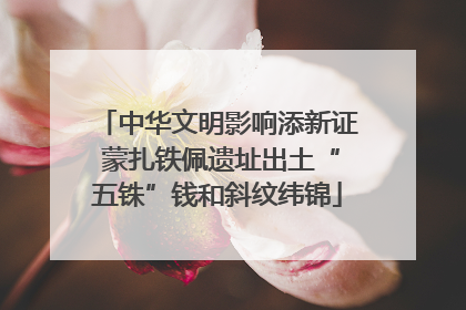 中华文明影响添新证 蒙扎铁佩遗址出土“五铢”钱和斜纹纬锦