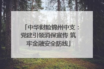 中华财险锦州中支：党建引领消保宣传 筑牢金融安全防线