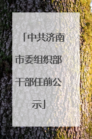 中共济南市委组织部干部任前公示