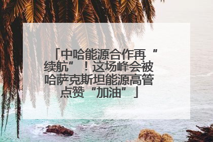 中哈能源合作再“续航”！这场峰会被哈萨克斯坦能源高管点赞“加油”