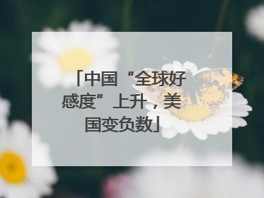 中国“全球好感度”上升，美国变负数