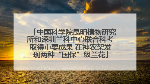 中国科学院昆明植物研究所和深圳兰科中心联合科考取得重要成果 在神农架发现两种“国保”级兰花