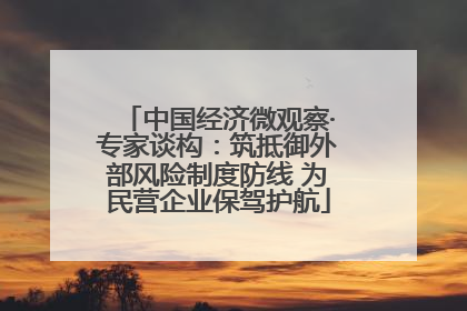 中国经济微观察·专家谈构：筑抵御外部风险制度防线 为民营企业保驾护航