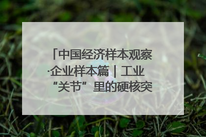 中国经济样本观察·企业样本篇｜工业“关节”里的硬核突围——老企业洛轴创新蝶变启示录