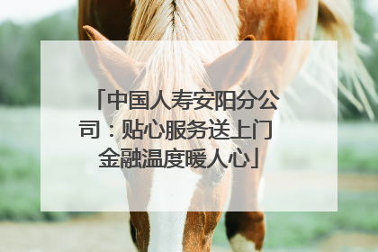中国人寿安阳分公司：贴心服务送上门 金融温度暖人心