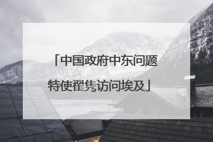 中国政府中东问题特使翟隽访问埃及