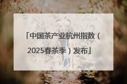 中国茶产业杭州指数（2025春茶季）发布
