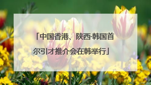 中国香港、陕西·韩国首尔引才推介会在韩举行