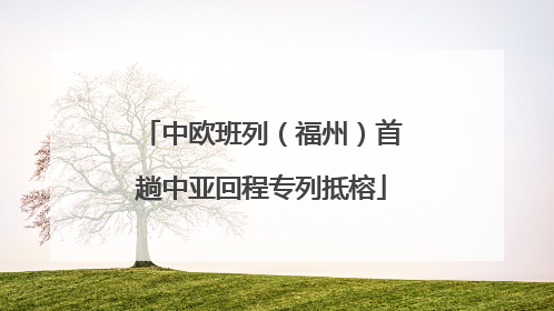 中欧班列（福州）首趟中亚回程专列抵榕