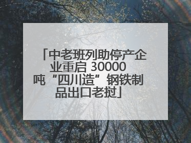 中老班列助停产企业重启 30000吨“四川造”钢铁制品出口老挝