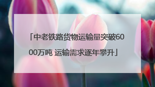 中老铁路货物运输量突破6000万吨 运输需求逐年攀升