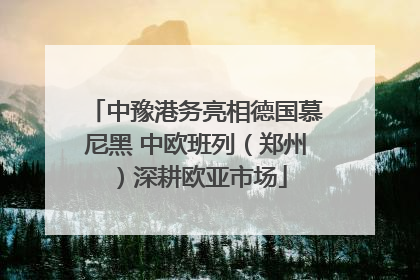 中豫港务亮相德国慕尼黑 中欧班列（郑州）深耕欧亚市场