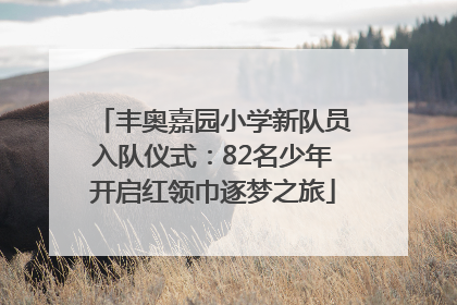 丰奥嘉园小学新队员入队仪式：82名少年开启红领巾逐梦之旅