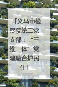义马市检察院第二党支部：“三维一体”党建融合护民生