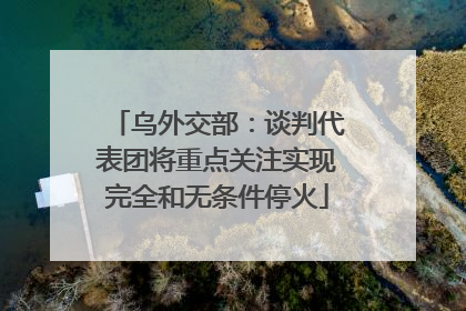 乌外交部：谈判代表团将重点关注实现完全和无条件停火