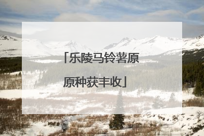 乐陵马铃薯原原种获丰收