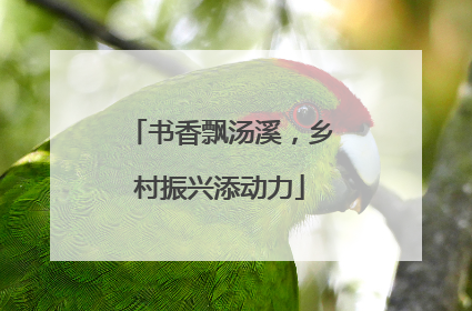 书香飘汤溪，乡村振兴添动力