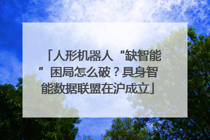 人形机器人“缺智能”困局怎么破？具身智能数据联盟在沪成立