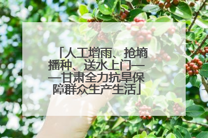 人工增雨、抢墒播种、送水上门——甘肃全力抗旱保障群众生产生活