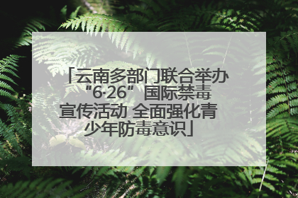 云南多部门联合举办“6·26”国际禁毒宣传活动 全面强化青少年防毒意识
