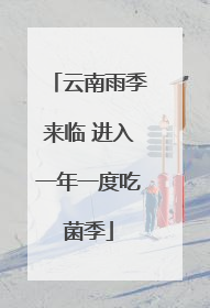 云南雨季来临 进入一年一度吃菌季