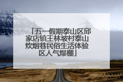 五一假期泰山区邱家店镇王林坡村泰山炊烟巷民俗生活体验区人气爆棚