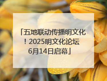 五地联动传播明文化！2025明文化论坛6月14日启幕