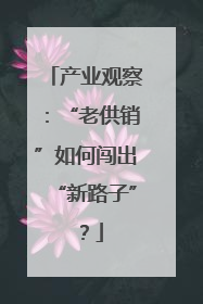 产业观察：“老供销”如何闯出“新路子”？