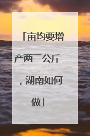亩均要增产两三公斤，湖南如何做