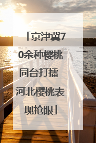 京津冀70余种樱桃同台打擂 河北樱桃表现抢眼