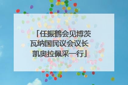 任振鹤会见博茨瓦纳国民议会议长凯奥拉佩采一行