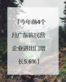 今年前4个月广东省民营企业进出口增长5.6%