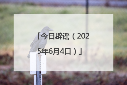 今日辟谣（2025年6月4日）