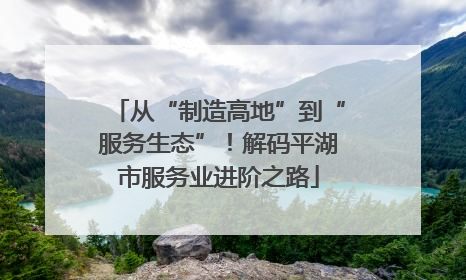 从“制造高地”到“服务生态”！解码平湖市服务业进阶之路