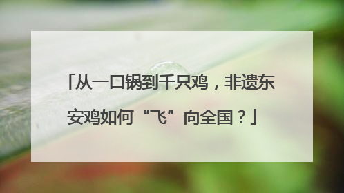 从一口锅到千只鸡，非遗东安鸡如何“飞”向全国？