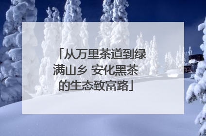 从万里茶道到绿满山乡 安化黑茶的生态致富路