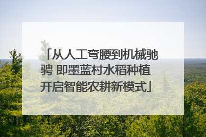 从人工弯腰到机械驰骋 即墨蓝村水稻种植开启智能农耕新模式