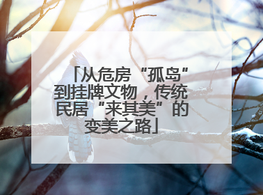 从危房“孤岛”到挂牌文物，传统民居“来其美”的变美之路