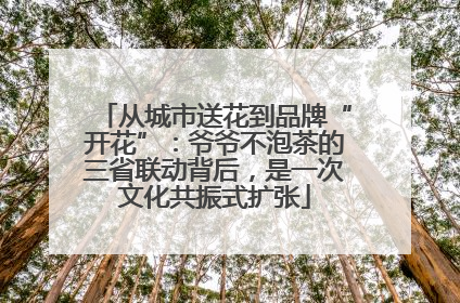 从城市送花到品牌“开花”：爷爷不泡茶的三省联动背后，是一次文化共振式扩张