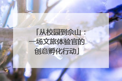 从校园到佘山：一场文旅体验官的创意孵化行动
