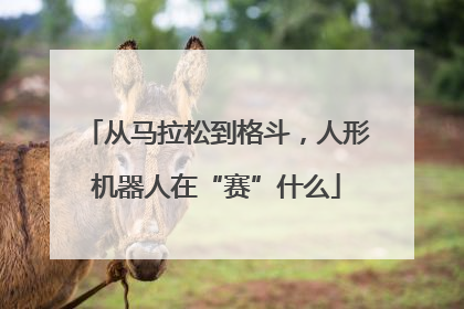 从马拉松到格斗，人形机器人在“赛”什么
