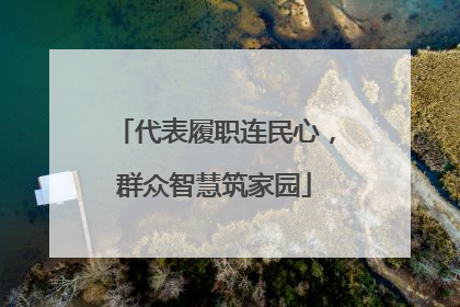 代表履职连民心，群众智慧筑家园