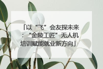 以“飞”会友探未来：“金陵工匠”无人机培训赋能就业新方向