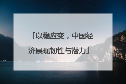 以稳应变，中国经济展现韧性与潜力